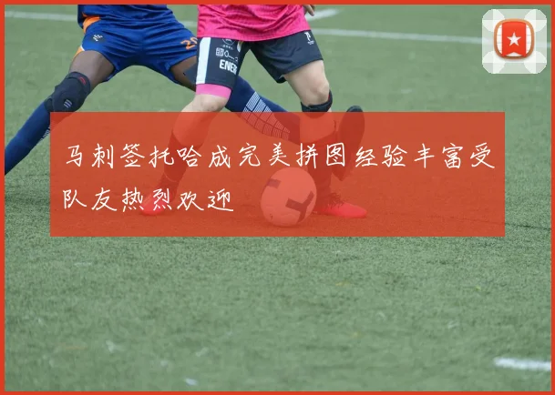 马刺签托哈成完美拼图经验丰富受队友热烈欢迎